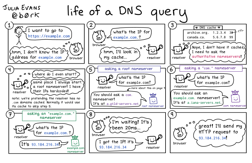 DNS query